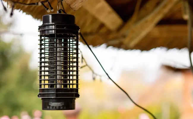 An electric mosquito trap hanging from a gazebo of a Vancouver home