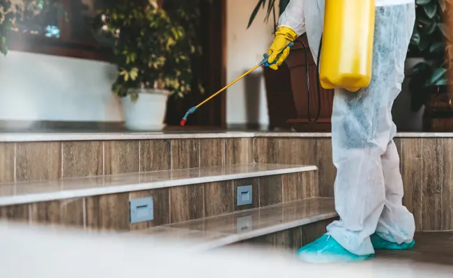 Spraying for pests on steps of home in Portland
