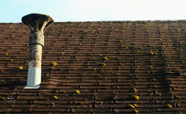 Roof moss on a residential home in Portland